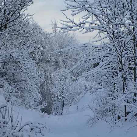 Au Chemin Des Cordonniers Daire *