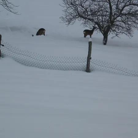 Daire Au Chemin Des Cordonniers Gresse-en-Vercors